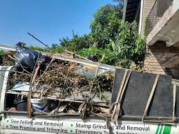 Best Yard Waste Removal  in Friendship Heights Village, MD
